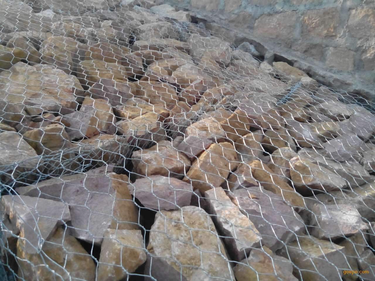 鍍鋅鐵絲網廠家